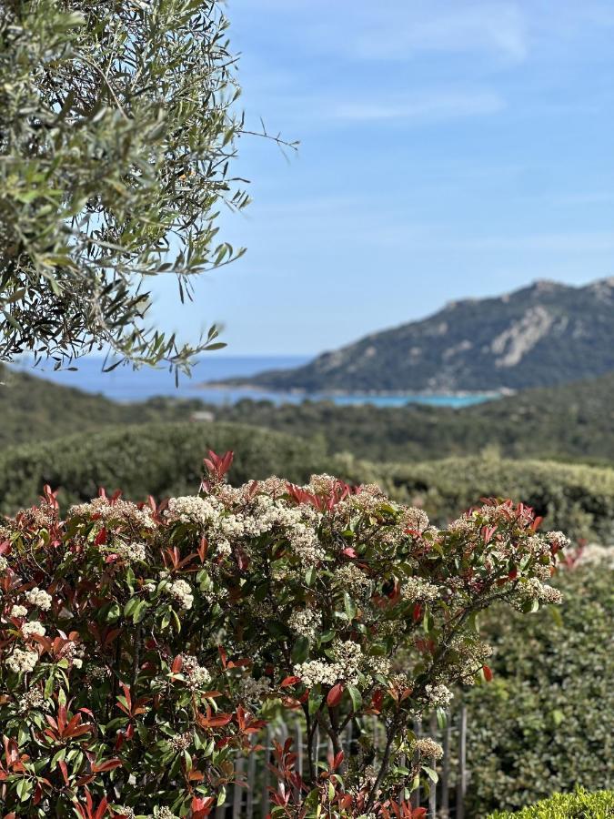 Tres Belle Bergerie Avec Piscine Chauffee A 1 Km De Santa Giulia Villa Порто-Векио Екстериор снимка